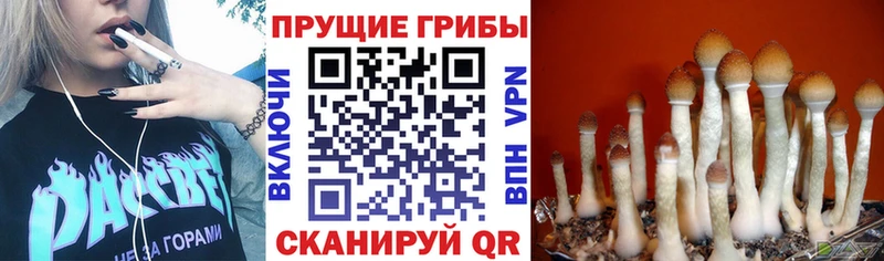 Галлюциногенные грибы Magic Shrooms как найти закладки Усть-Катав