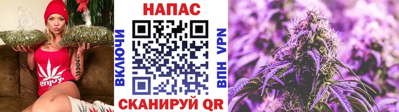 Каннабис сатива Усть-Катав